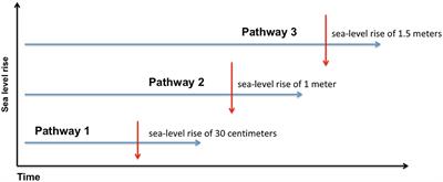 Insights intended to improve adaptation planning and reduce vulnerability at the local scale